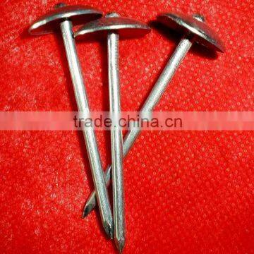 fast sell 2.5"x9bwg madagascar market ROOFING NAILS