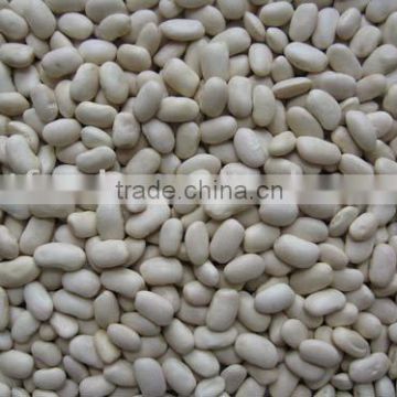 medium white kidney beans