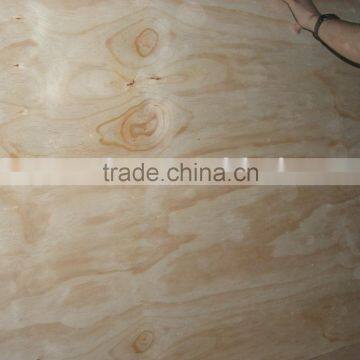 pine plywood