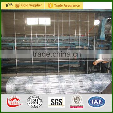 Attend Canton fair farm fence 15x15cm mesh size hot galvanized field fence