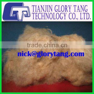 Dehaired camel hair from Alashan, Inner Mongolia