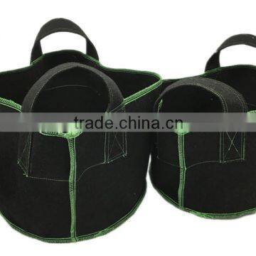 planter bags growbags for tomatoes tomato plants in grow bags