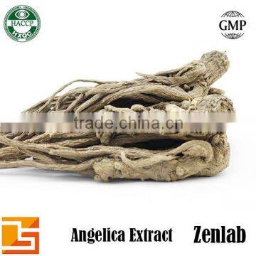 Angelica Root Extract Powder for Boost Immune System