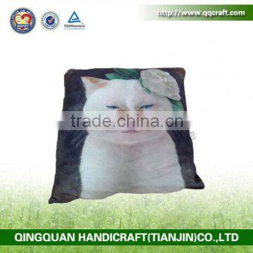 QQ Pet Factory Wholesale Cute Soft Cat Face Cushions Pillow Home Decor Pillow
