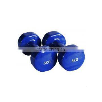 Vinyl Dumbbell FT5171