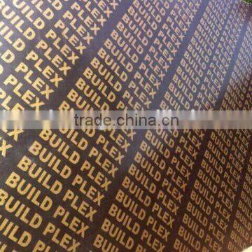 China 18mm brown Film Faced Shuttering Plywood for Middle East market