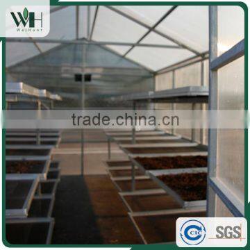 Cambodia Kosher Black Pepper for Importers 550gl 500gl photo-6