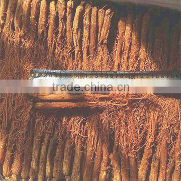 Red Ginseng Export Ginseng Korea Red Ginseng Manufacturers photo-2