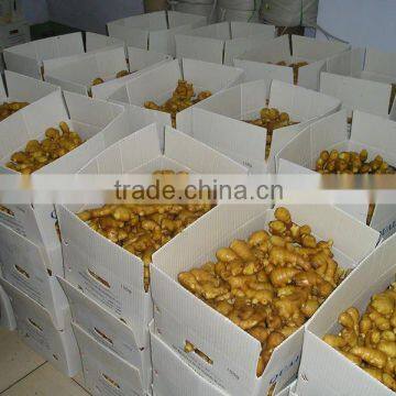 fruit paper carton box/fruit carton box/paper box