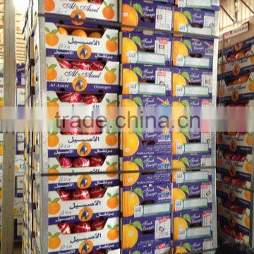 LEMON PLUS ORANGE FROM EGYPT