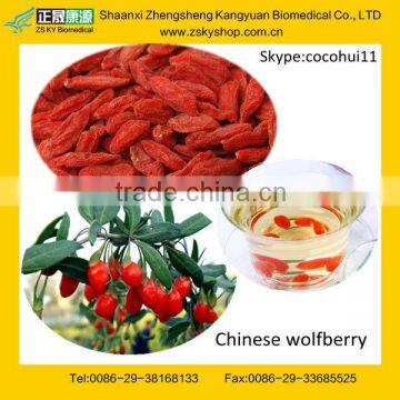 GMP manufacturer supply natural Ningxia Goji Berry for health protect