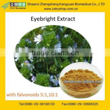 GMP Certified factory supply 100% natural and High Quality Euphrasia Officinalis Extract Powder