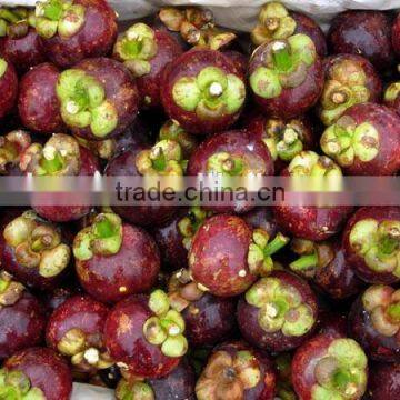 Natural Mangosteen Fruit Powder photo-6