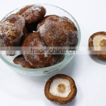 halal frozen food frozen shiitake mushroom
