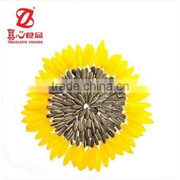 Supply Chinese Snack Sunflower Seeds