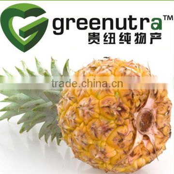 pineapple extract bromelain