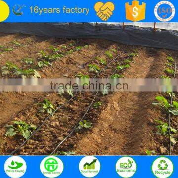 hot selling agriculture farm land drip irrigation hose