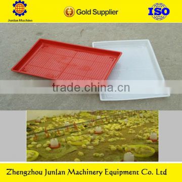 plastic Feeder plate for chicks