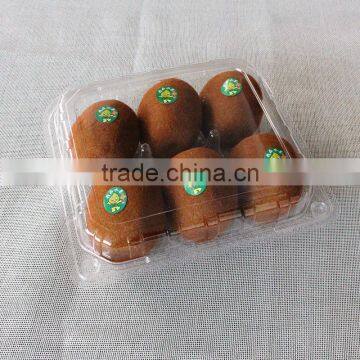 Cheap 6pcs Clear Plastic Kiwi Fruit Packaging Container,fruit Boxes photo-4