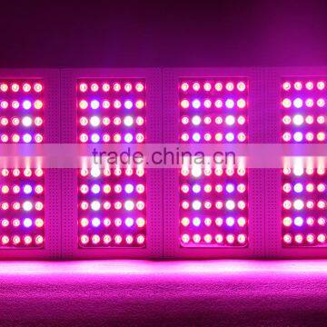 Full Spectrum Led Grow Light Bulb Full Spectrum 360w Panel Grow Led Light Led Grow Equal 600w Hps Led Grow Light photo-5