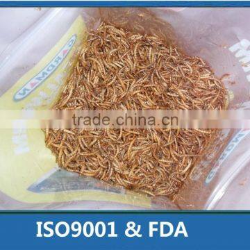 Eco-Friendly Dired Mealworms Wild Bird Feeding, animal feed mealworm