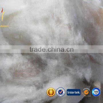 Dehaired Cashmere Wool Fiber Raw Sheep Wool For Sale photo-2