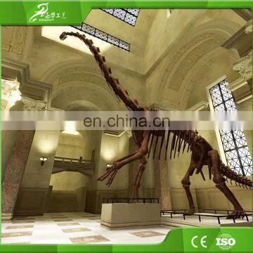 Roaring Vivid Dinosaur Skull Fossil for Museum Exhibition