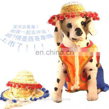 Mexican style summer straw dog hat