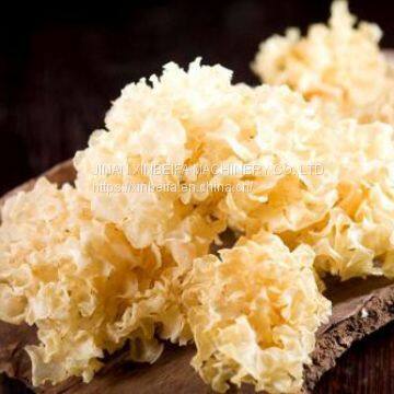 Tremella Drying Machine photo-5