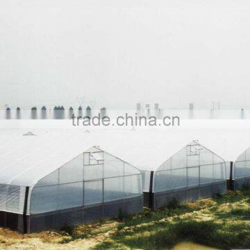 single span commercial greenhouse for flowers and vegetables