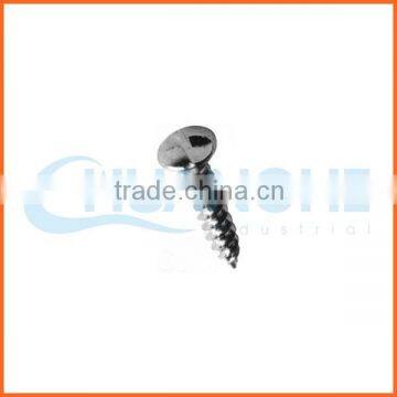 China supplier specialize in anti-theft screw