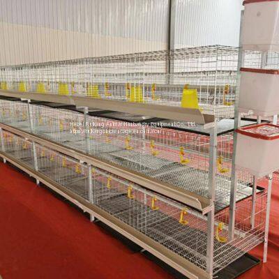 H type chicken broiler cage