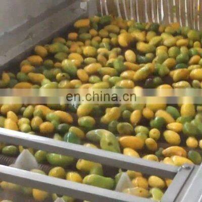 Mango Juicer Production Line Machine Automatic Mango Juice Filling Production Line Machines photo-4