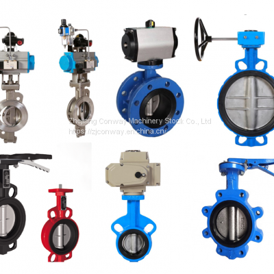 Butterfly Valve