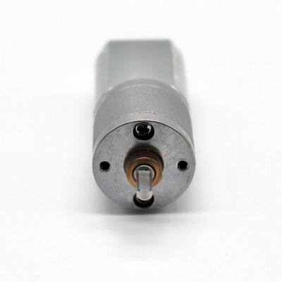 20mm 12v 24v Micro dc Gear Motor 130 Micro dc Motor for Beauty Equipment photo-4