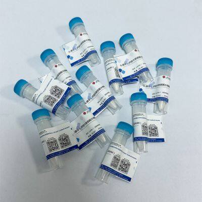 The Relationship Between Purine Nucleoside Phosphorylase and Nucleic Acid Synthesis and Decomposition photo-2