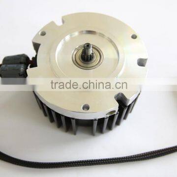 brushless DC electric motor