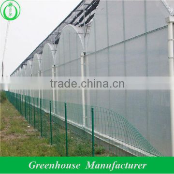 agricultural plastic greenhouse