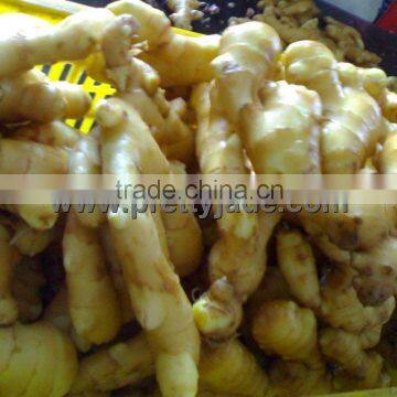 Chinese premium ginger