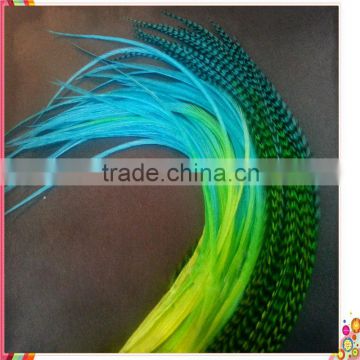 2014 New Arrival hot selling ombre rooster feathers for hair extensions cheap