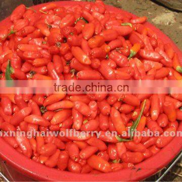 Dried goji berries from Ningxia Zhongning goji, Himalaya goji berries. Hot sell 2015 fresh goji berries