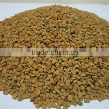 Fenugreek Seeds