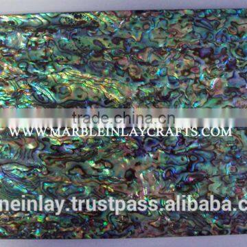 Decorative Abalone Tiles