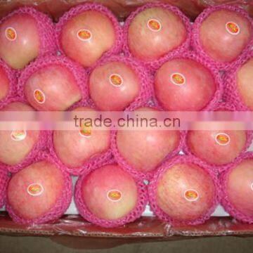 Apple fruit/ Best price apple/Wholesale price apple fruit