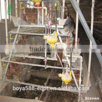 Durable Automatic Boiler Chicken Cage System for Sale photo-2