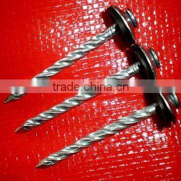 galvanzied twisted nails