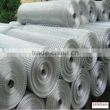 PVC&Galvanized welded rabbit cage wire mesh