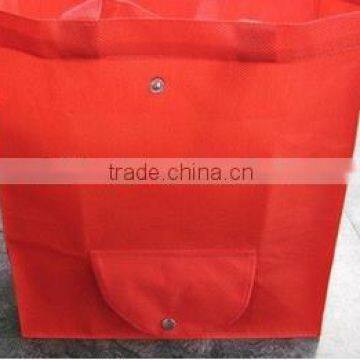 1Non Woven Fold able Bags