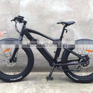 fat tire electric mountain bike 36V/48V (HJ-M21)