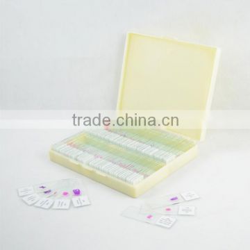 Human dental medical oral histology tooth slides